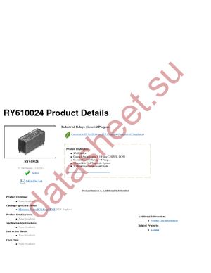 RY610024 datasheet  